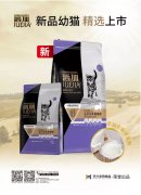 爵加新品幼貓精選上市！
