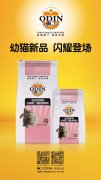 奧丁精品幼貓糧閃耀登場?。。?></div>
                <div>
                    <h2>奧丁精品幼貓糧閃耀登場?。?！</h2>
                    <div><span>2019-06-27

</span><span>查看更多</span></div>
                </div>
            </a><li>
             <a href=