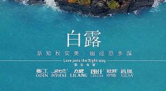 白露丨草木染露，秋韻漸濃