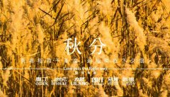 秋分丨晝夜分畫，漸入秋華
