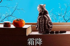 霜降丨縱然霜華盡染，心中美好如初