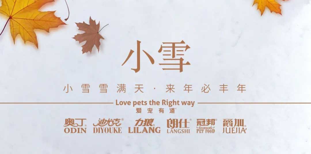 小雪丨天地初寒，歲月安暖